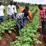 6602da57-0930-4dc0-9412-1412e755c437