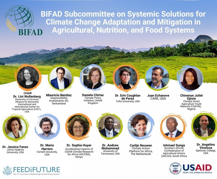 BIFAD GCSAYN collaborative program